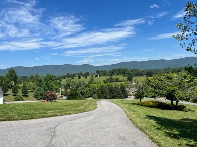 4541 Country Club Road Troutville, VA 24175 - Photo 46 of 51 IMG_2303