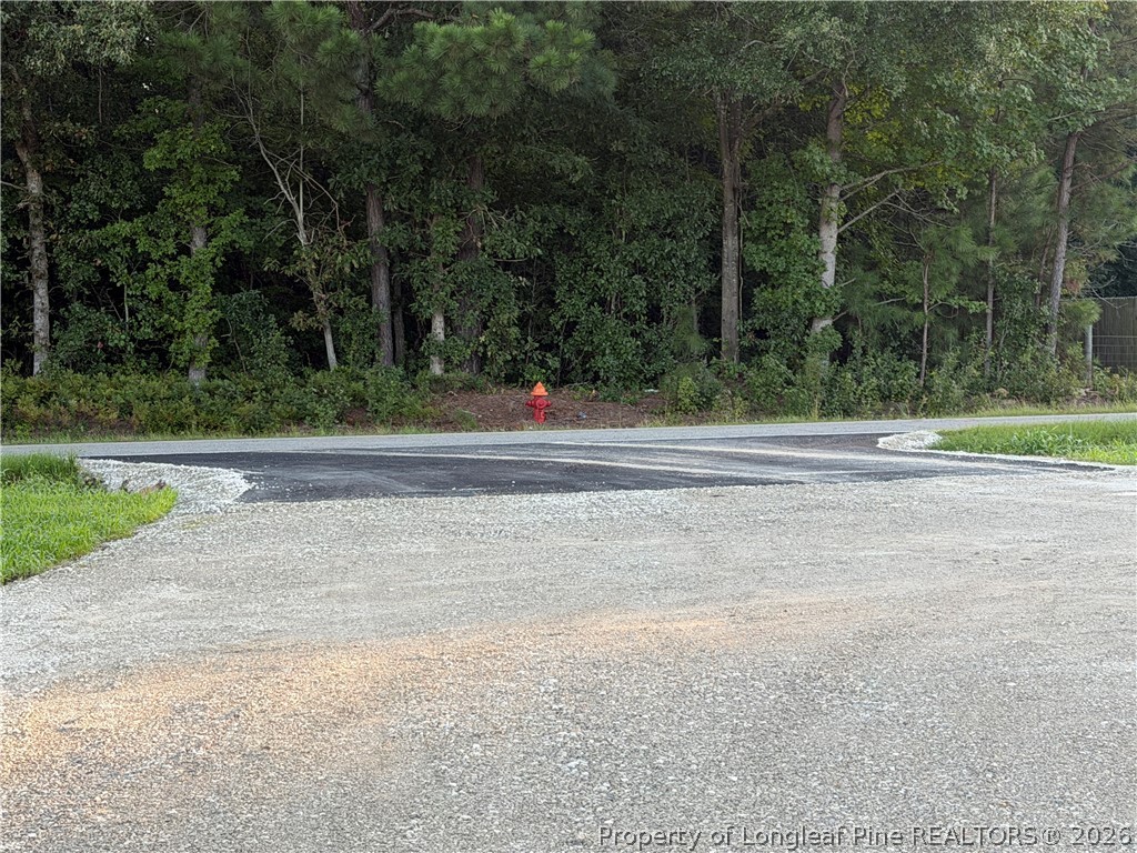 256 Howell Road St. Pauls, NC 28384 - Photo 8 of 18 Gallery Image 8