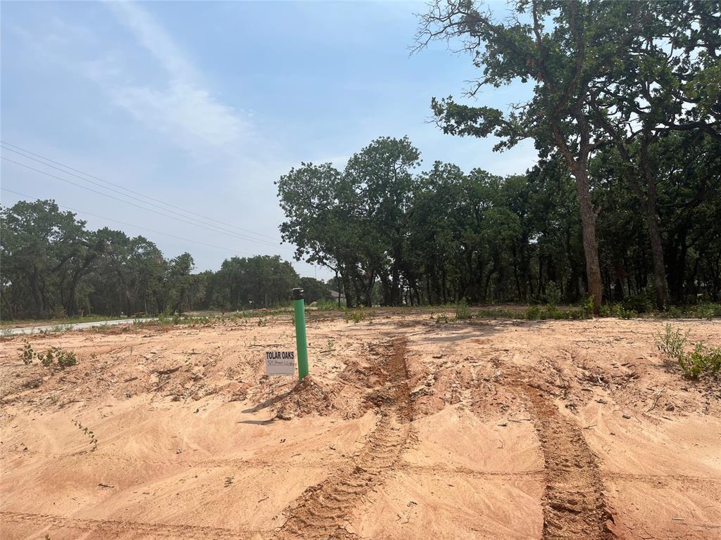 a view of a yard with a tree