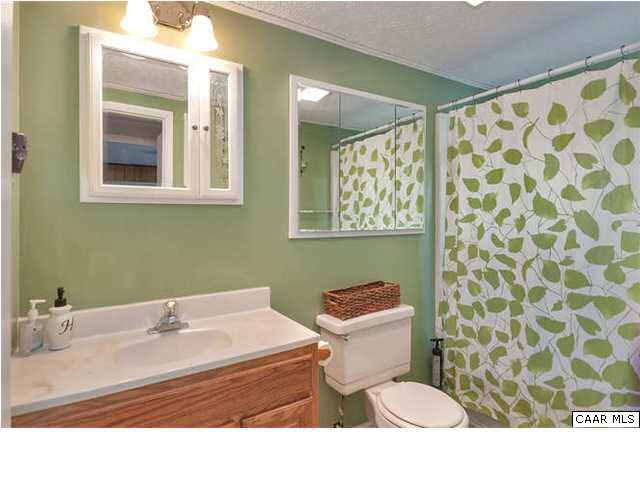 4147 Bacon Hollow Road Dyke, VA 22935 - Photo 10 of 19 Upstairs Bathroom
