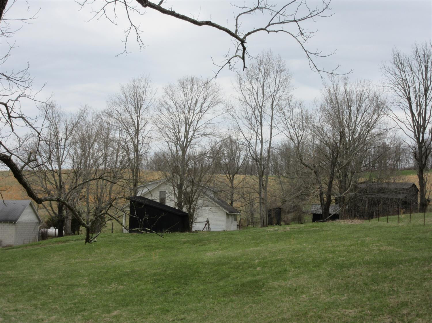 4885 Owenton Road Stamping Ground, KY 40379 - Photo 47 of 69 Photo 47