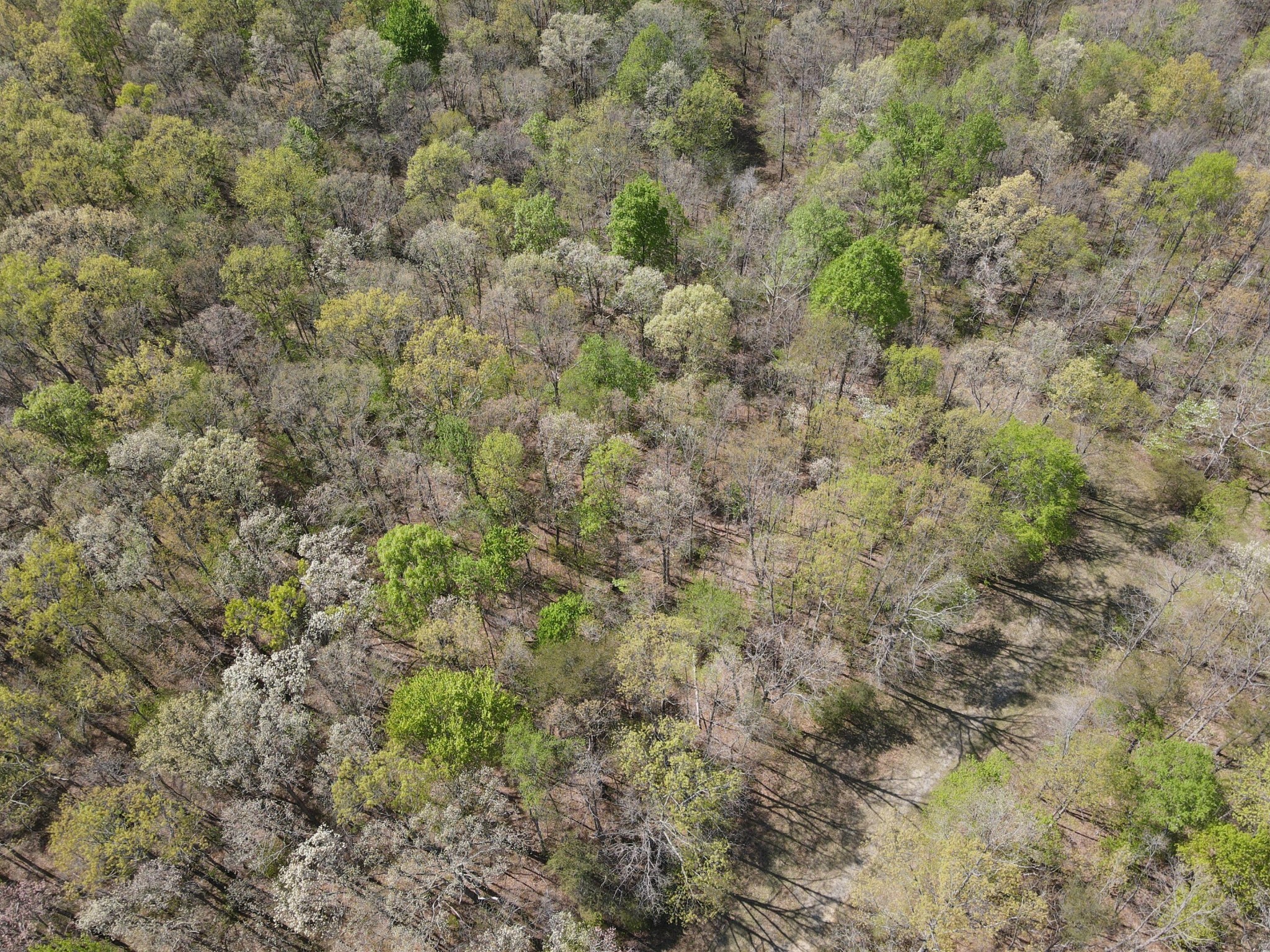 60 Hideaway Cabin Road Altamont, TN 37301 - Photo 12 of 31 Gallery Image 12