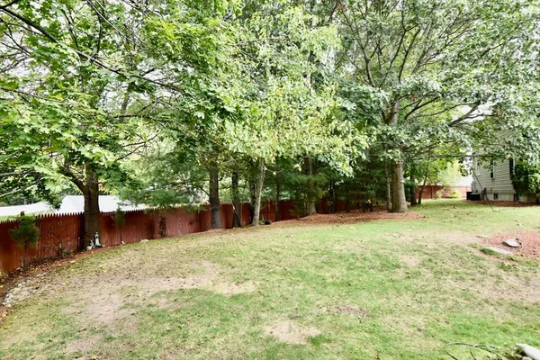 a view of a yard with a tree