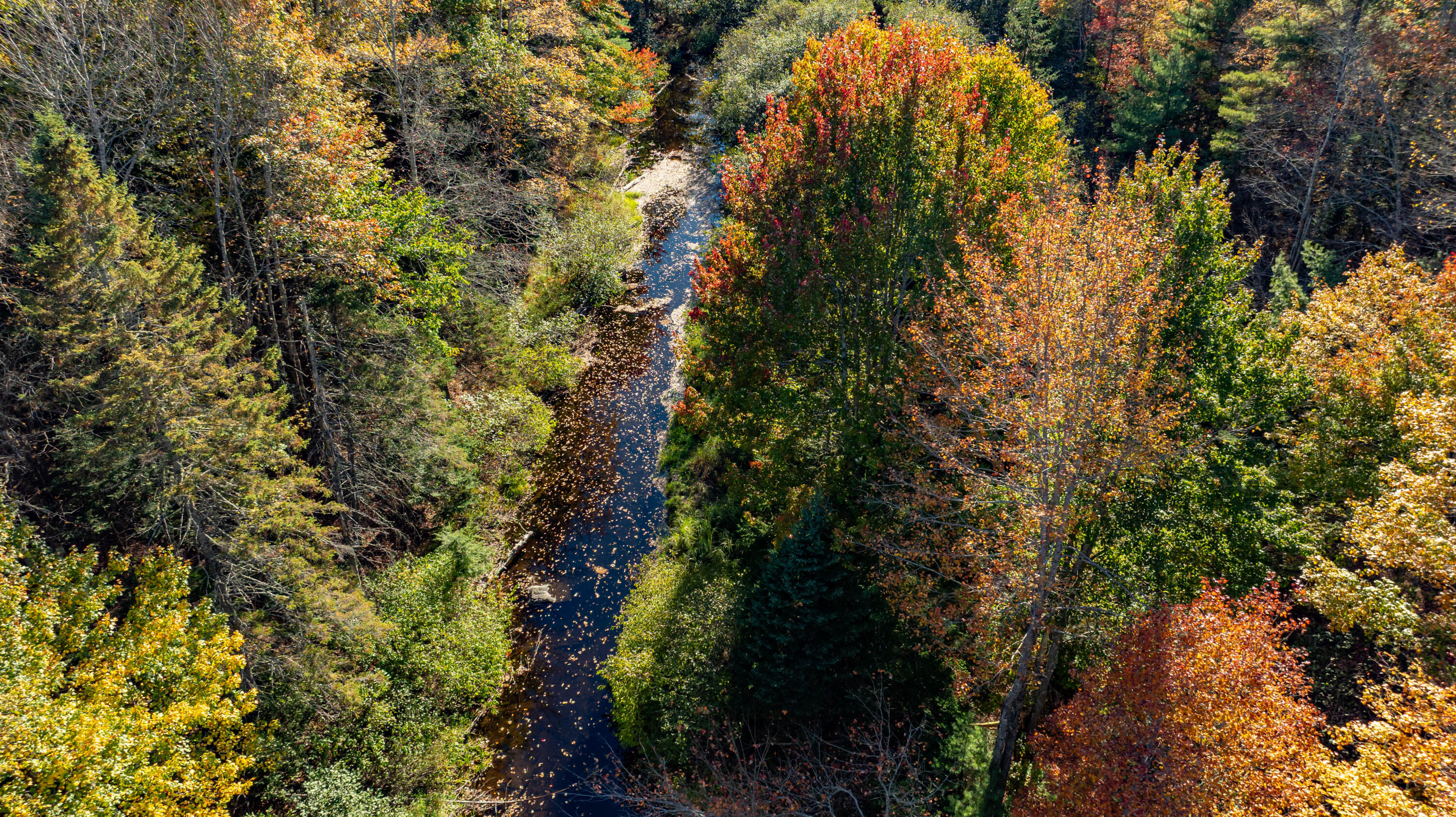 151 Mill Road Dedham, ME 04429 - Photo 4 of 60 dji_fly_20251003_034314_504_175944319298