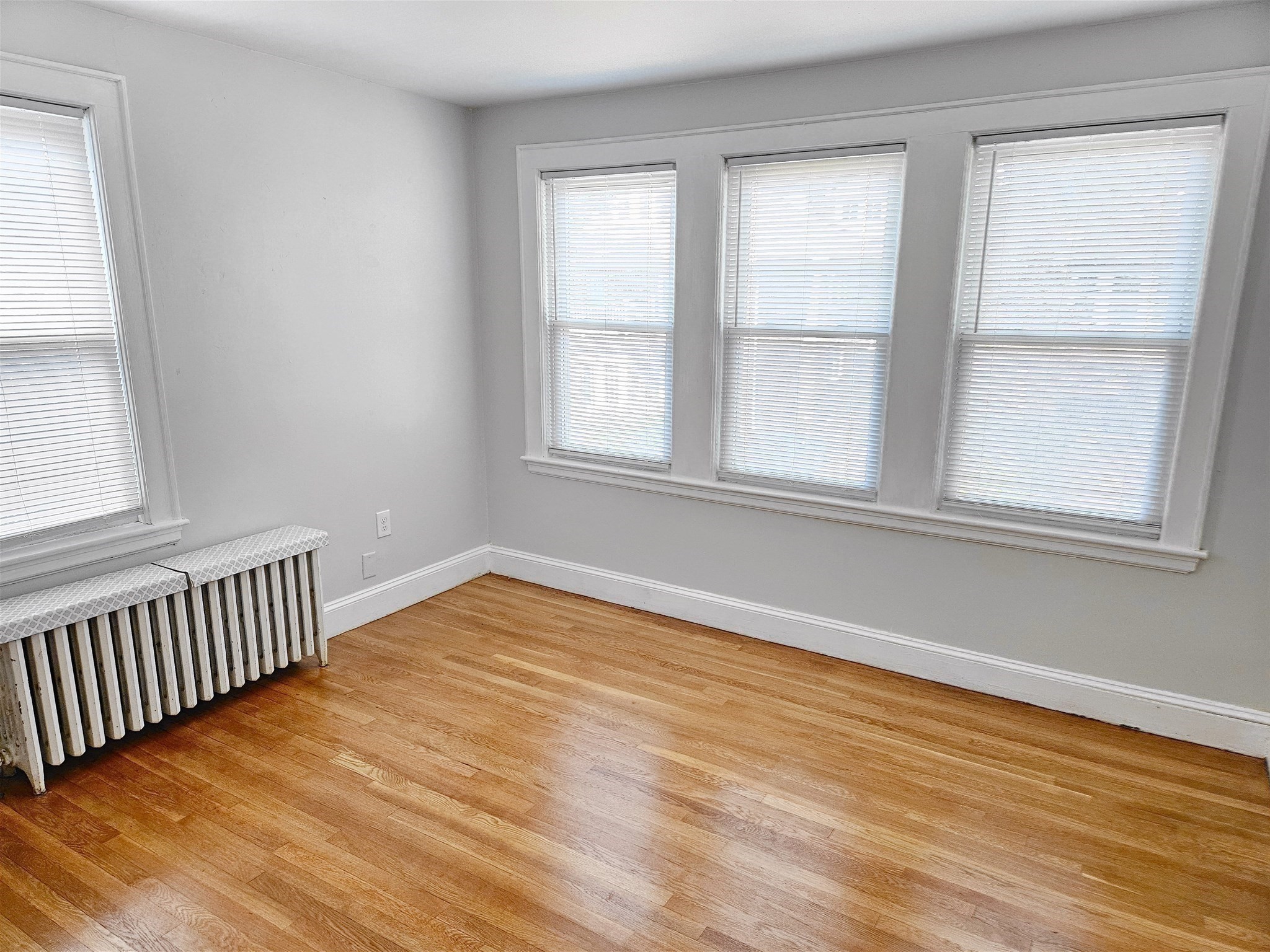 12 Hatherly Road, Unit 1 Boston, MA 02135 - Photo 17 of 19 Gallery Image 17