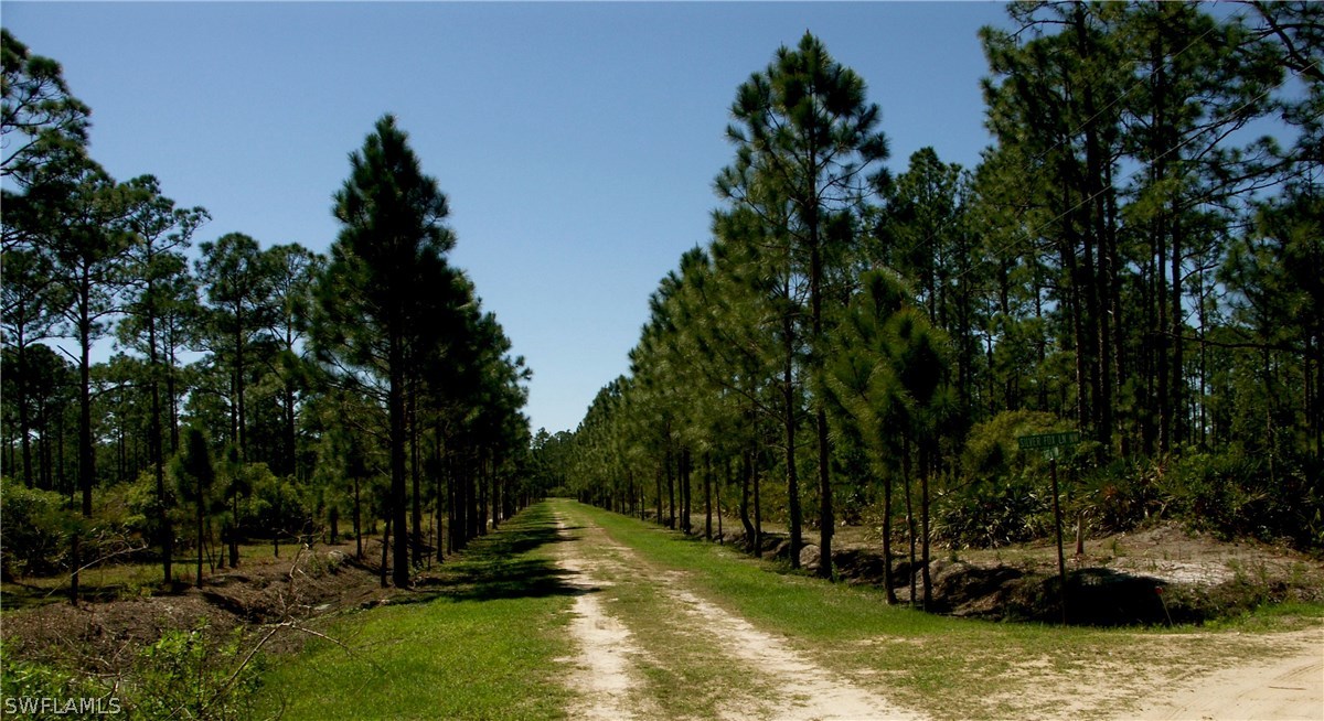 1780 Gate Road LaBelle, FL 33935 - Photo 29 of 33 Gallery Image 29