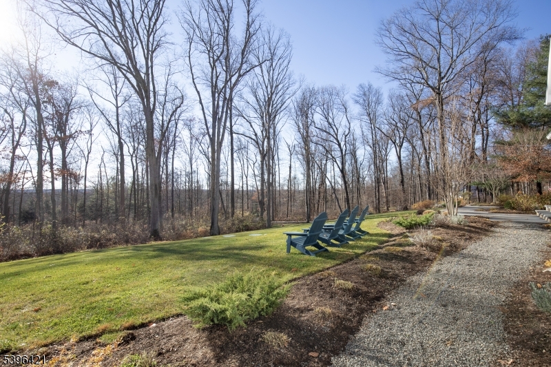 93 Pleasantville Road New Vernon, NJ 07976 - Photo 40 of 41 a view of a backyard with palm trees
