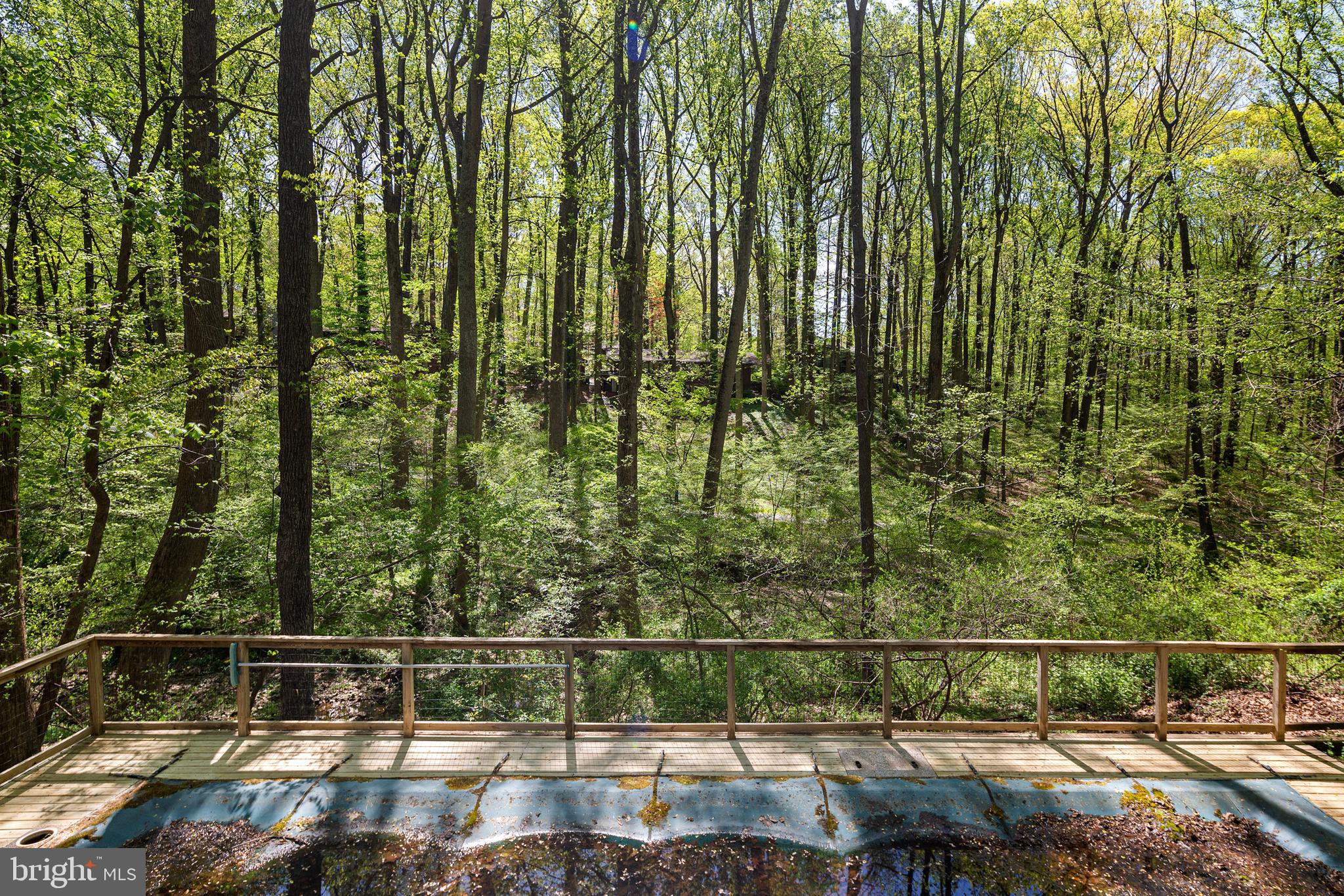 11097 Swansfield Road Columbia, MD 21044 - Photo 27 of 30 The backyard is just waiting for your touch!