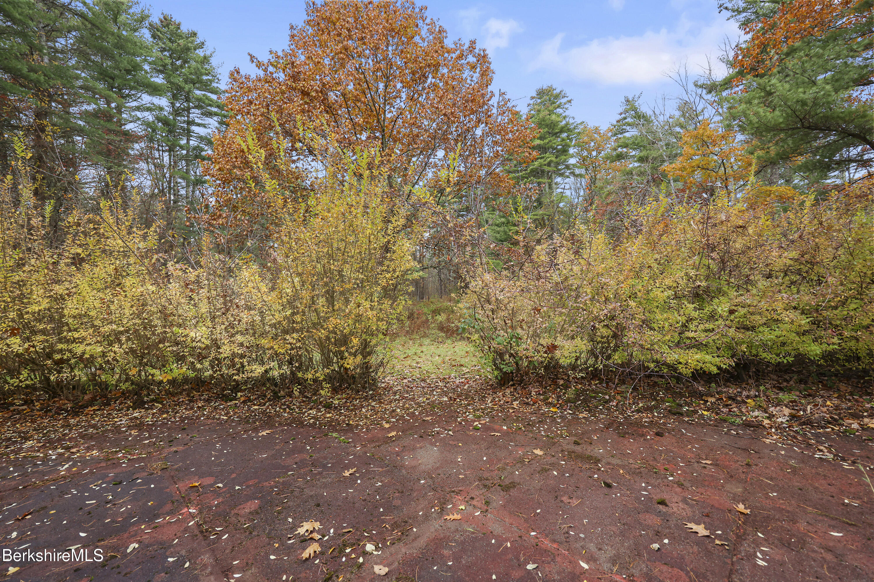245 Long Pond Road Great Barrington, MA 01230 - Photo 27 of 34 a view of a yard with a tree