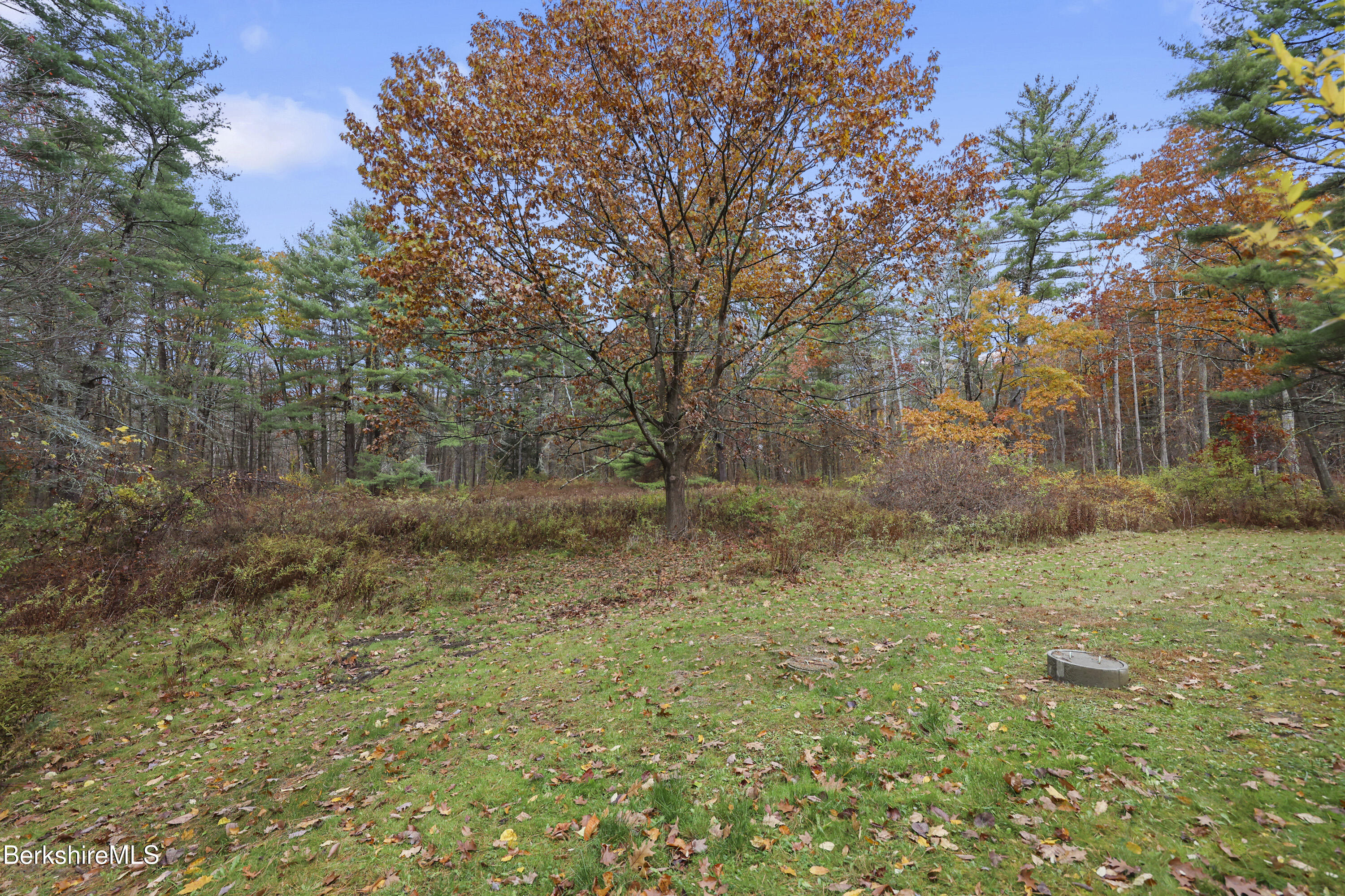 245 Long Pond Road Great Barrington, MA 01230 - Photo 33 of 34 a view of a yard with a tree