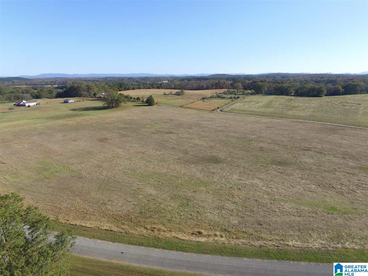 401 Brickstore Road, Unit 14 / Eastaboga, AL 36260 - Photo 3 of 7