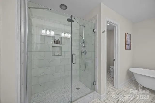a bathroom with a shower and a toilet
