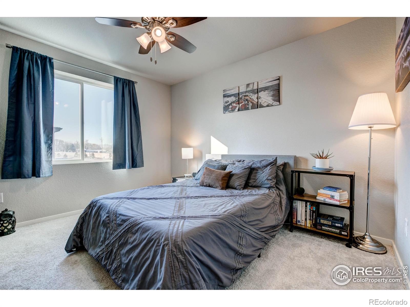 2802 Barnstormer Street Fort Collins, CO 80524 - Photo 25 of 31