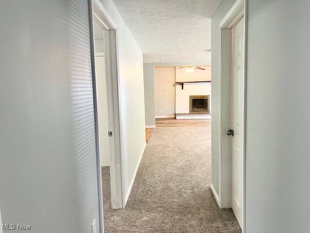 12880 Point Pleasant Rd Mount Mount Alto, WV 25264 - Photo 6 of 12 Hallway to Bedrooms and Bathroom