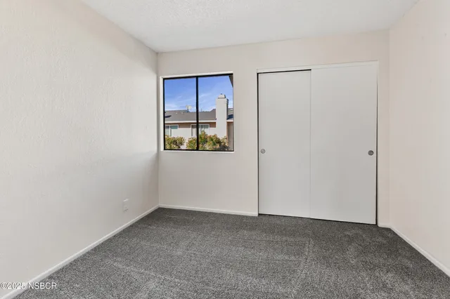 a view of a backyard with a tree