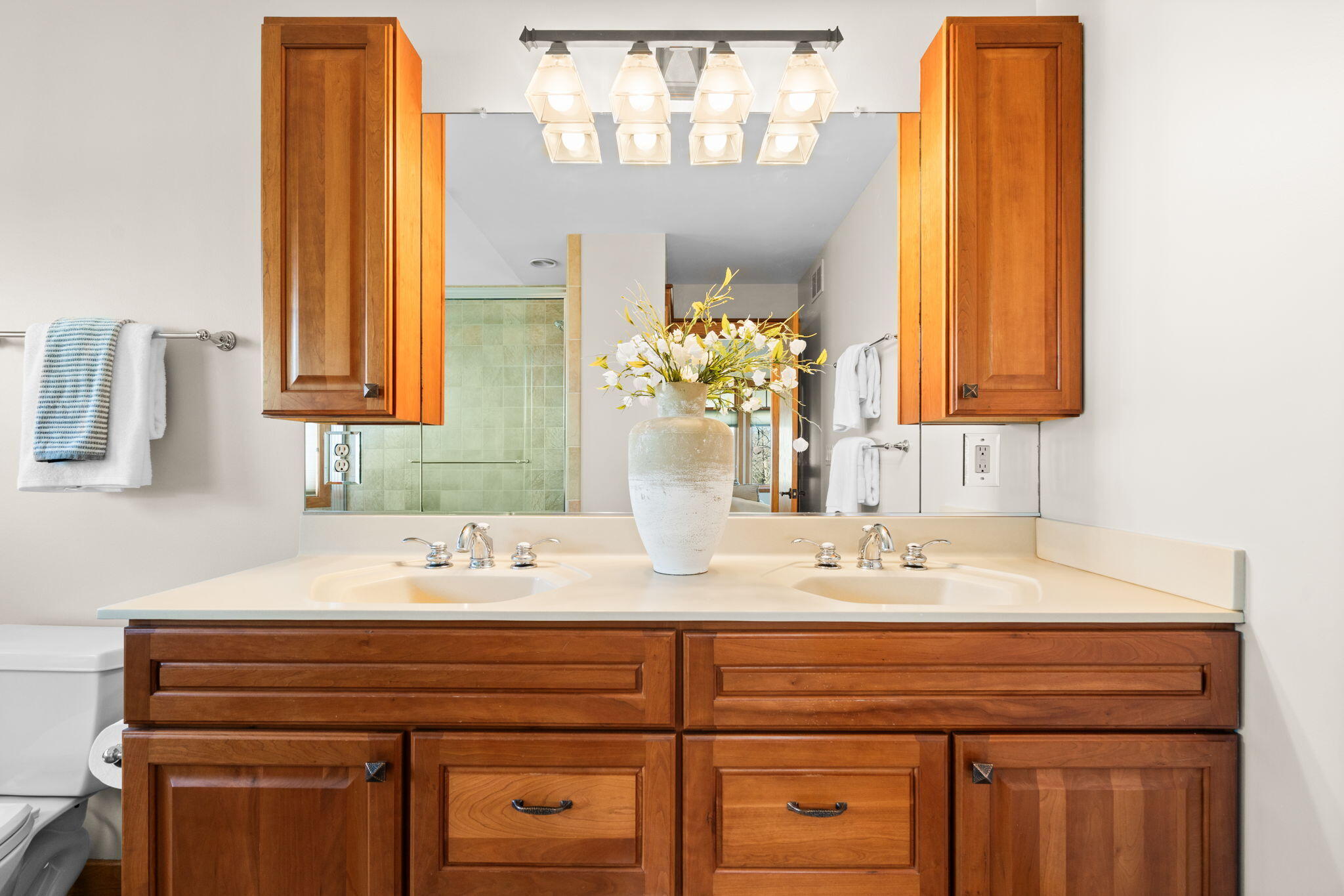 5665 Braun Road Saline, MI 48176 - Photo 61 of 102 62-web-or-mls-DSC03929