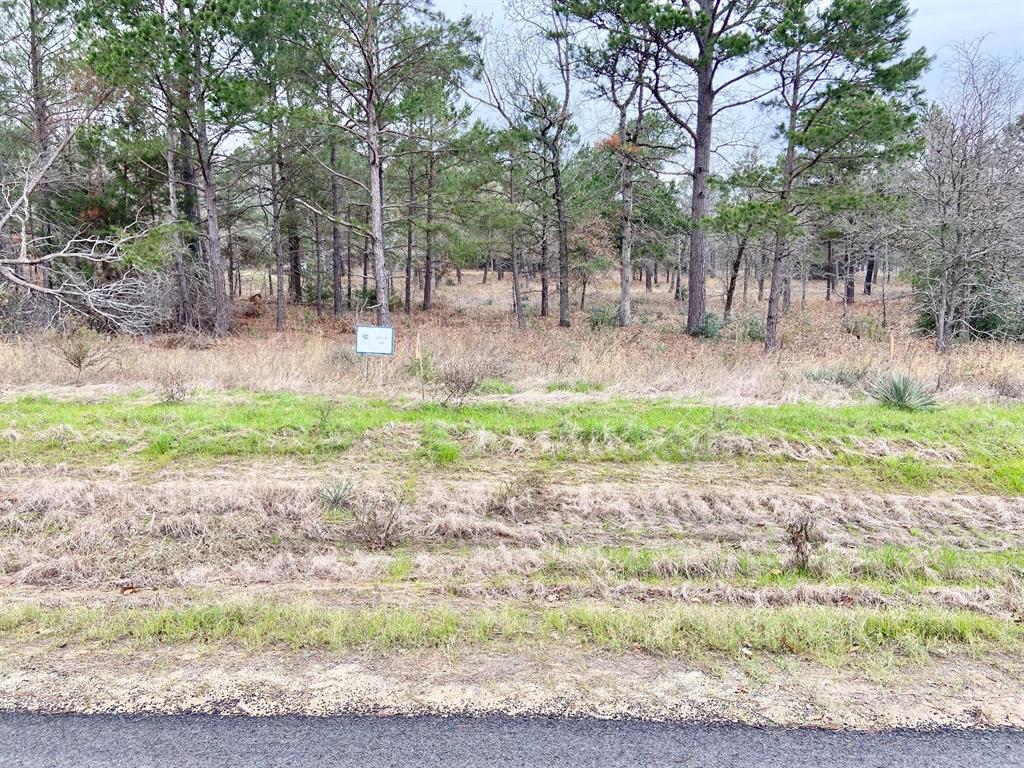 3729 Pinewood Trail Larue, TX 75770 - Photo 15 of 30 a backyard of a house with green space