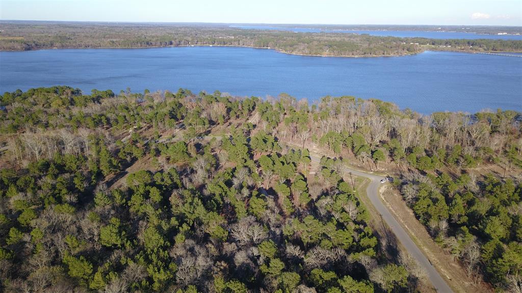 3729 Pinewood Trail Larue, TX 75770 - Photo 17 of 30 a view of an outdoor space and a lake view