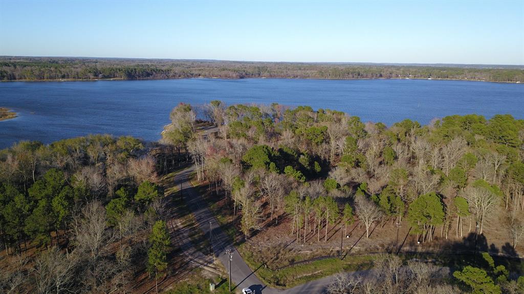 3729 Pinewood Trail Larue, TX 75770 - Photo 18 of 30 a view of a yard with an outdoor seating
