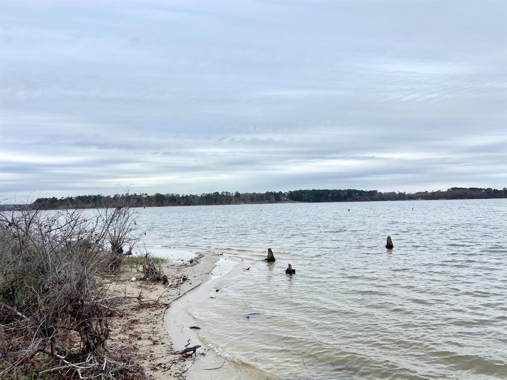 3729 Pinewood Trail Larue, TX 75770 - Photo 19 of 30 a view of a lake