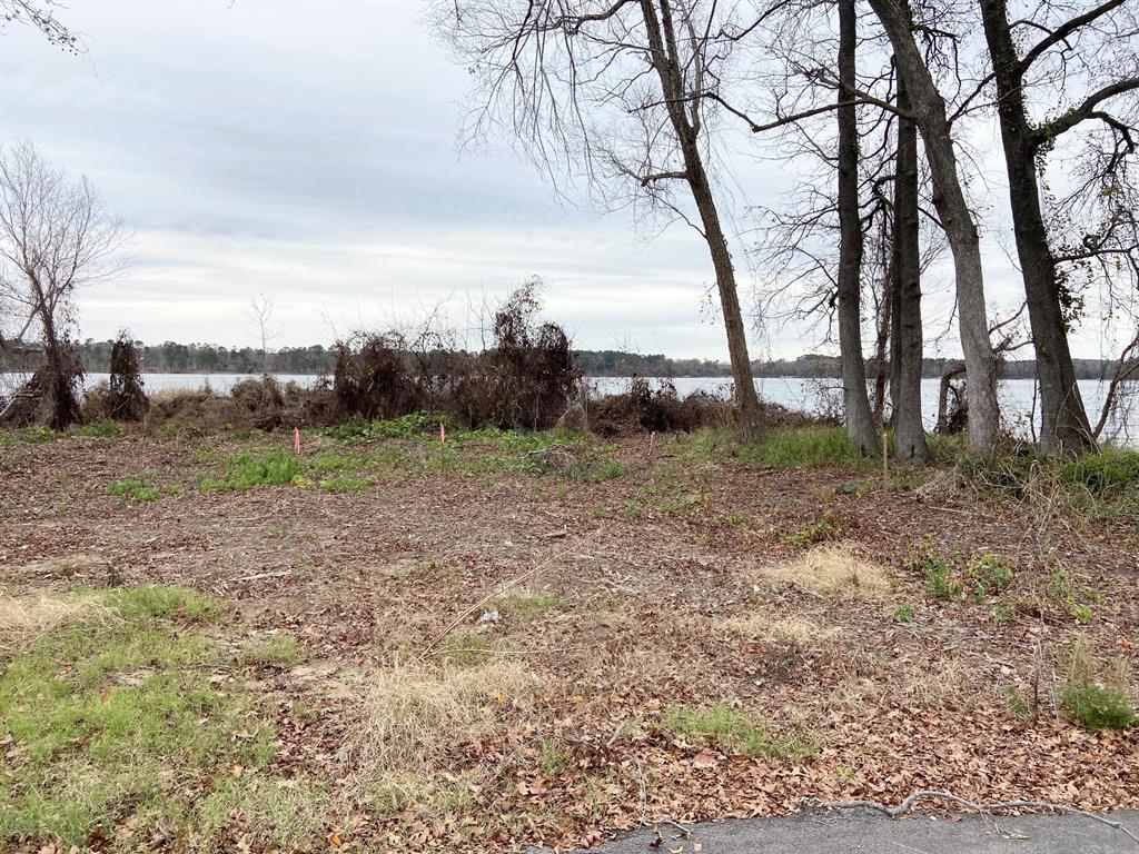 3729 Pinewood Trail Larue, TX 75770 - Photo 20 of 30 a backyard of a house with lots of green space