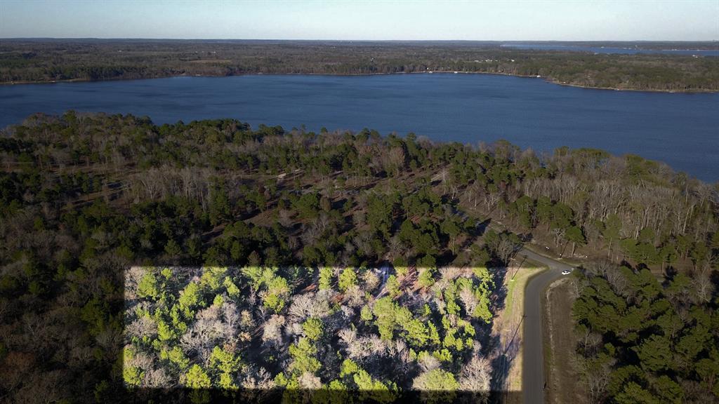 3729 Pinewood Trail Larue, TX 75770 - Photo 2 of 30 a view of an outdoor space with mountain view