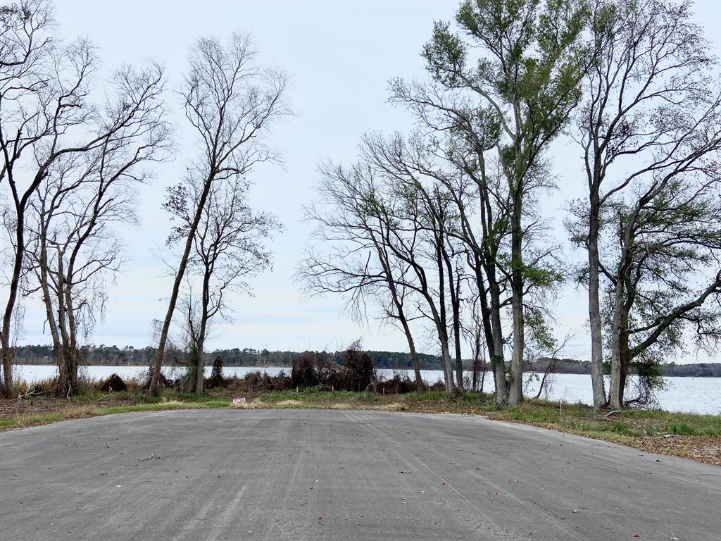 3729 Pinewood Trail Larue, TX 75770 - Photo 21 of 30 a view of a street