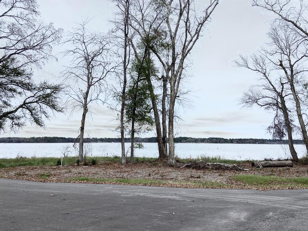 3729 Pinewood Trail Larue, TX 75770 - Photo 22 of 30