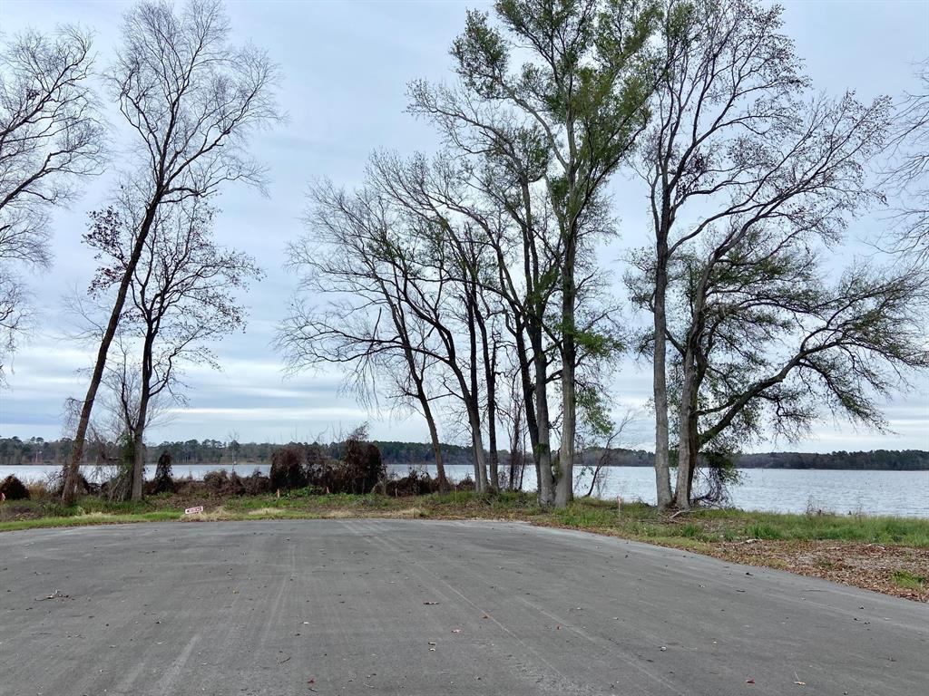 3729 Pinewood Trail Larue, TX 75770 - Photo 23 of 30