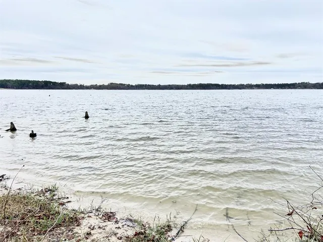a vase of flowers sitting on a table