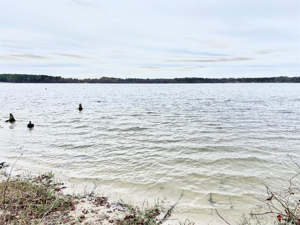 3729 Pinewood Trail Larue, TX 75770 - Photo 24 of 30 a view of ocean view