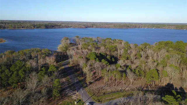 a view of a plant with a plant