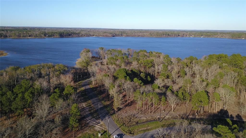 3729 Pinewood Trail Larue, TX 75770 - Photo 25 of 30 an aerial view of a house with a yard