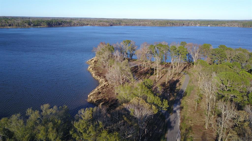 3729 Pinewood Trail Larue, TX 75770 - Photo 26 of 30 a view of a plant in a garden