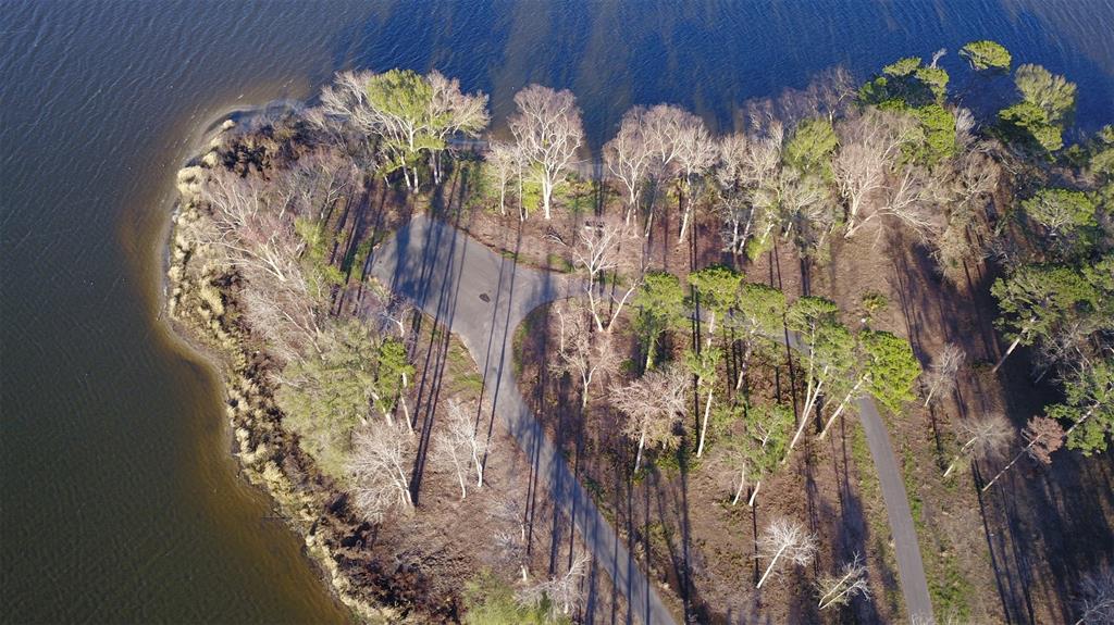 3729 Pinewood Trail Larue, TX 75770 - Photo 27 of 30 a vase of flowers sitting on a table