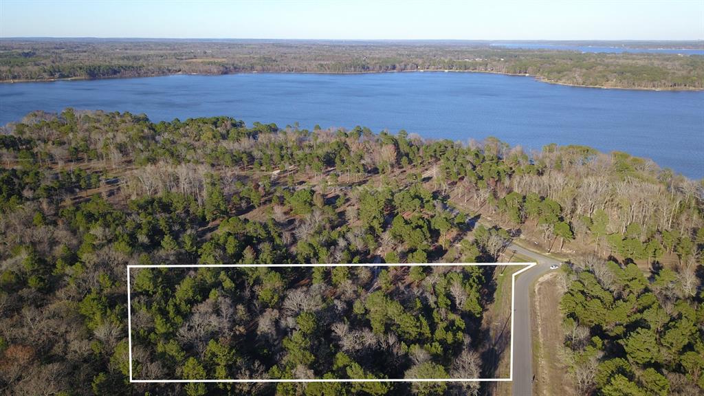 3729 Pinewood Trail Larue, TX 75770 - Photo 29 of 30 a view of a city and mountains from a balcony