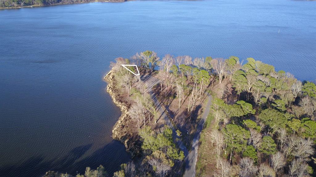 3729 Pinewood Trail Larue, TX 75770 - Photo 30 of 30 a close up of a plant in a garden
