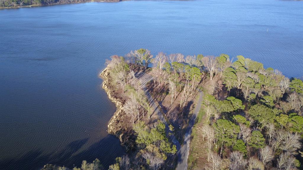 3729 Pinewood Trail Larue, TX 75770 - Photo 3 of 30 a close up of a plant in a garden