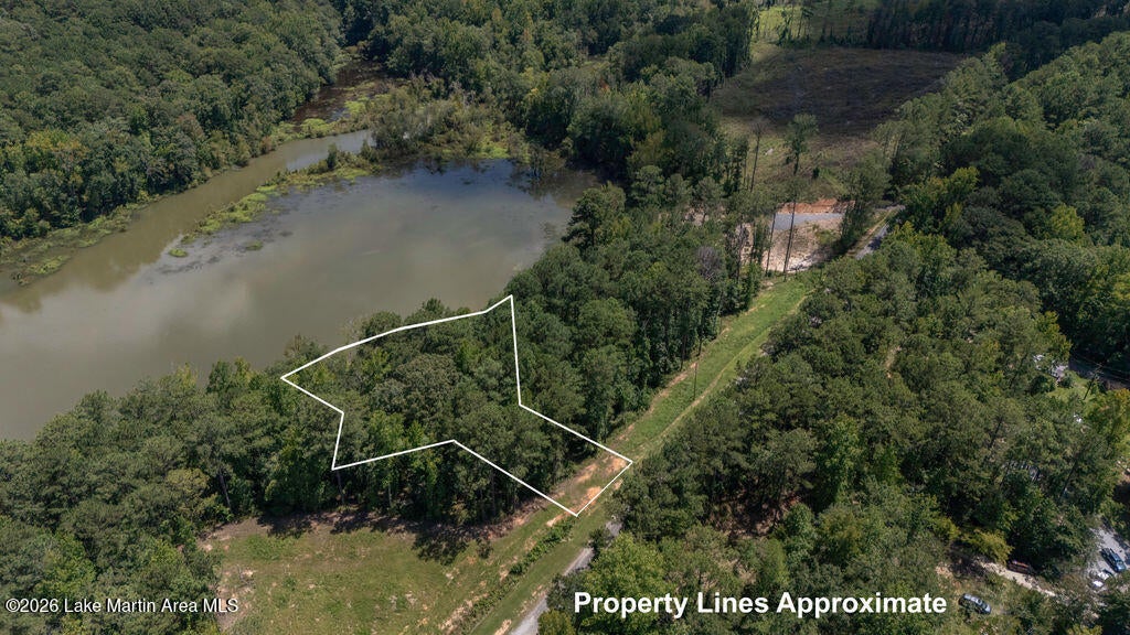 1392 Sturdivant Road Jacksons Gap, AL 36861 - Photo 4 of 18 Gallery Image 4