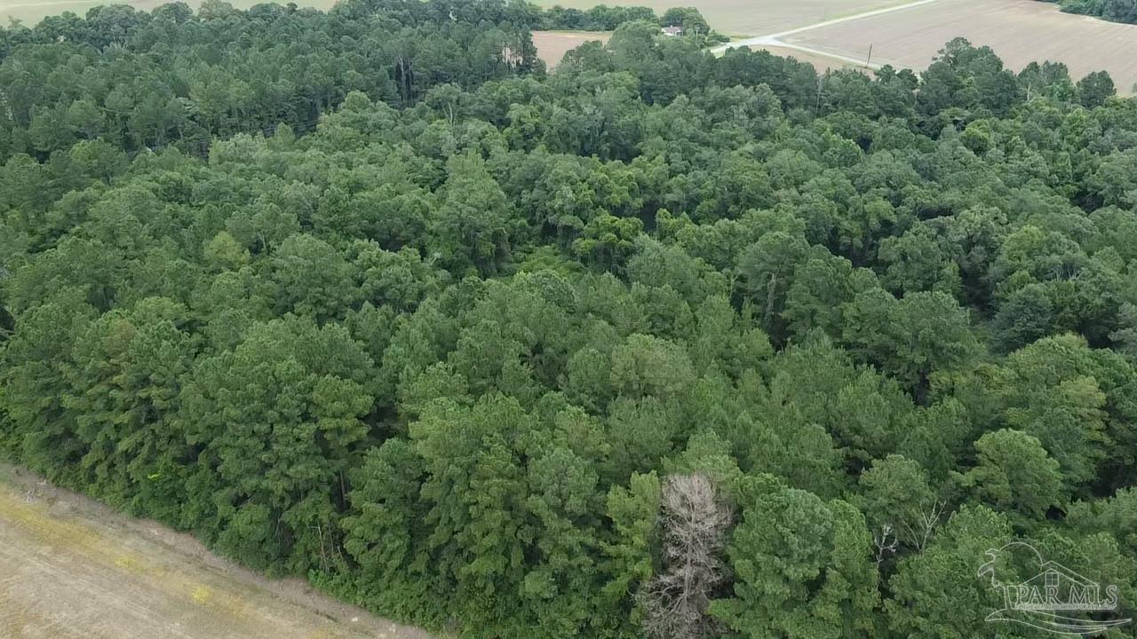 7600 Bratt Road Century, FL 32535 - Photo 18 of 41