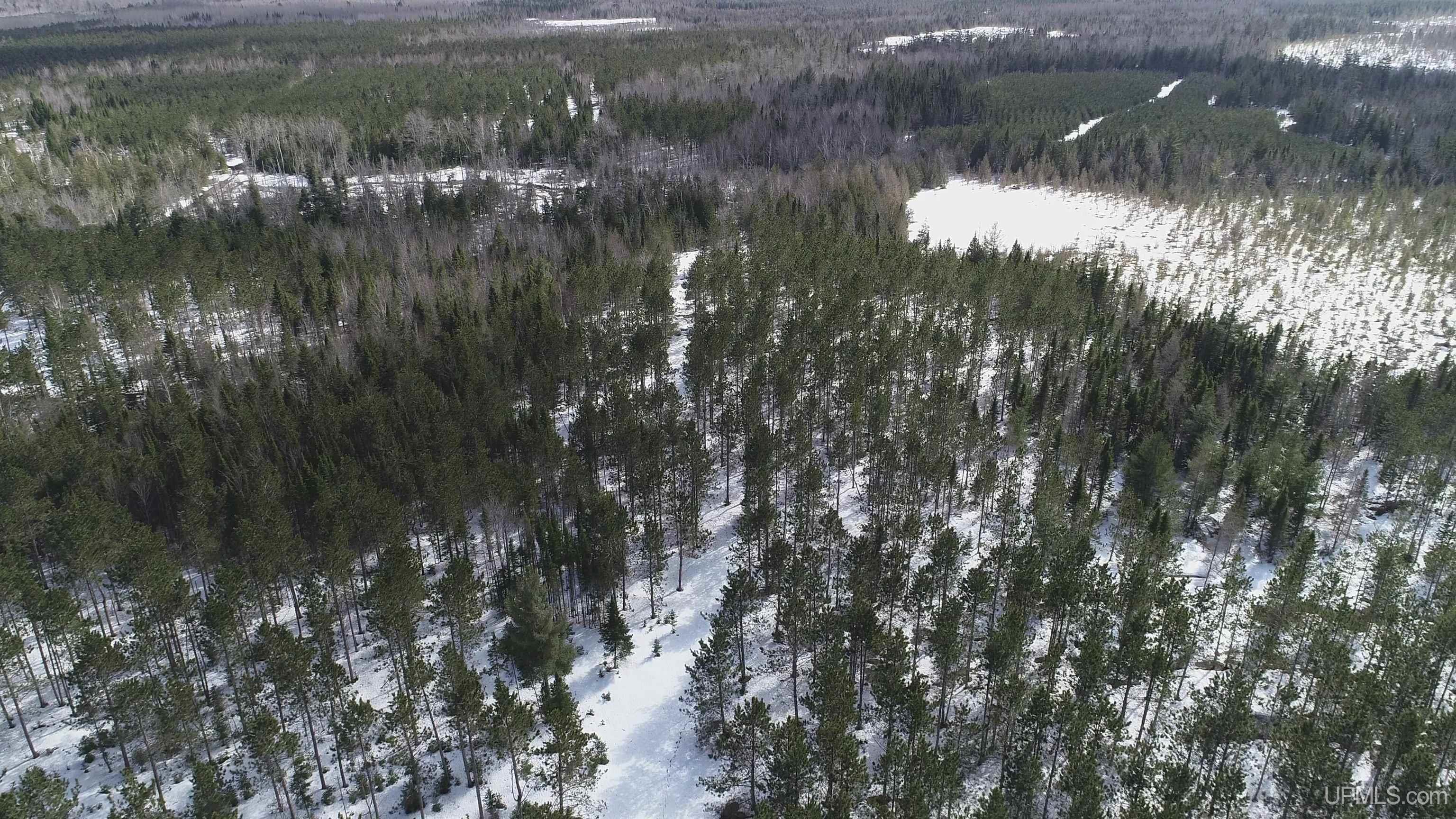 20-acres Off Flodin Road Manistique, MI 49854 - Photo 16 of 29