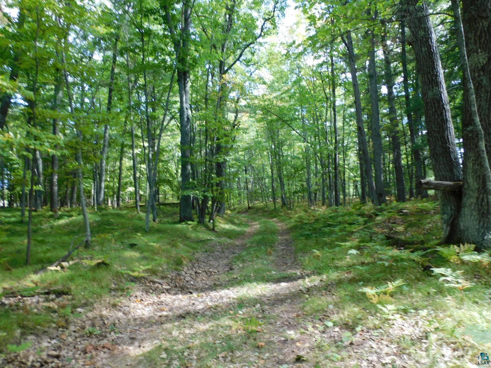 Xxxx Xxxx Whitetail Ridge Road Iron River, WI 54847 - Photo 24 of 40 Gallery Image 24