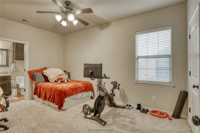 a bedroom with furniture and windows