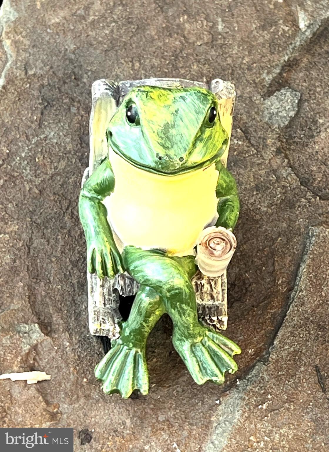 11321 College View Drive Silver Spring, MD 20902 - Photo 47 of 75 Frog