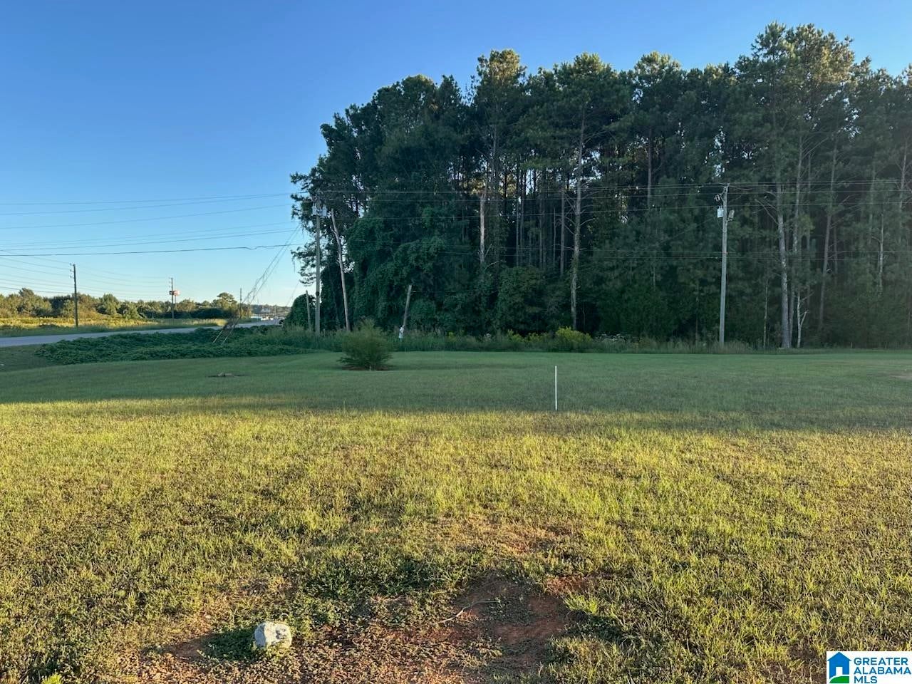 Blue Eye Road, Unit /1 Lincoln, AL 35096 - Photo 2 of 5 Gallery Image 2