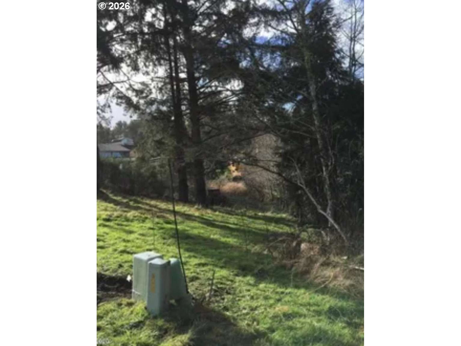 5575 Ocean Creek Road Neskowin, OR 97149 - Photo 2 of 5 a view of a yard with plants