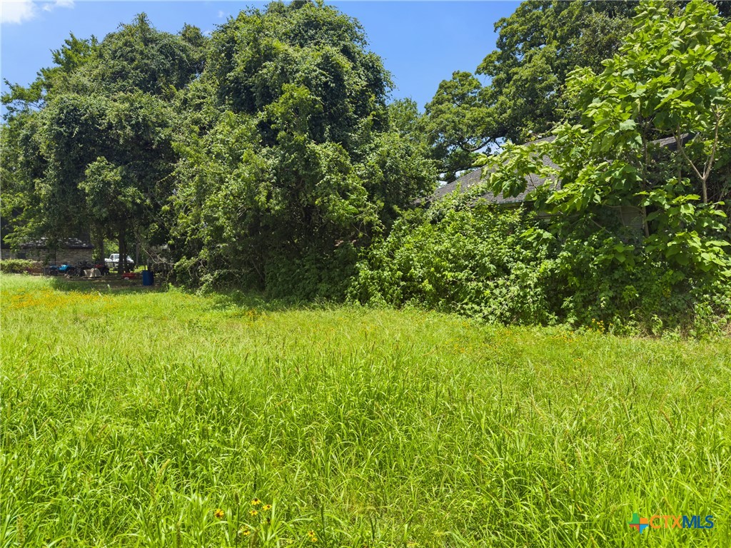 203 Trinity Street Hearne, TX 77859 - Photo 9 of 9