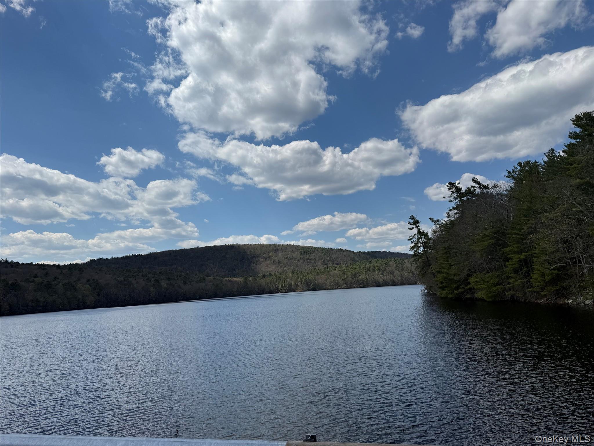 55 Old Plank Road Sparrowbush, NY 12780 - Photo 2 of 8 a view of city and lake