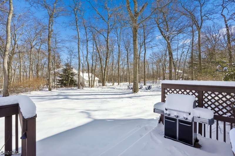 7 Hemlock Lane Flanders, NJ 07836 - Photo 33 of 35