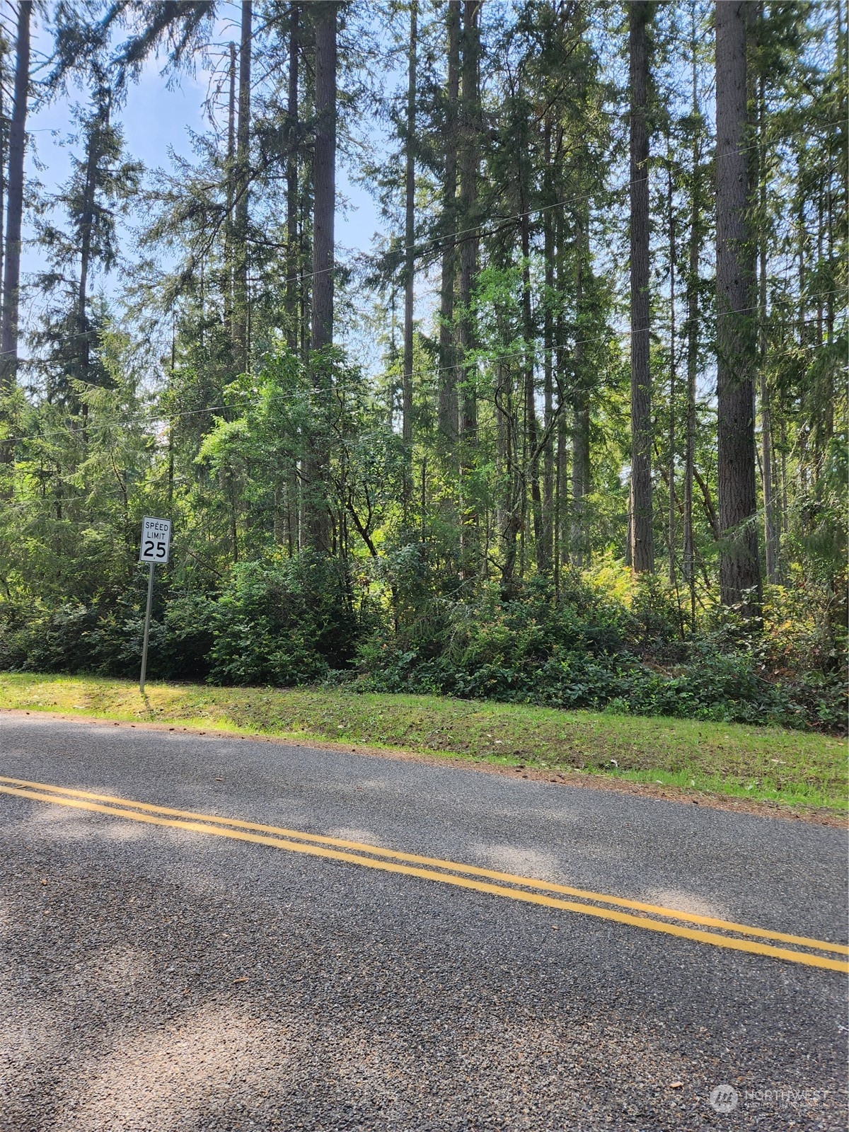 12506 Yoman Road Anderson Island, WA 98303 - Photo 3 of 11 a view of a tennis court